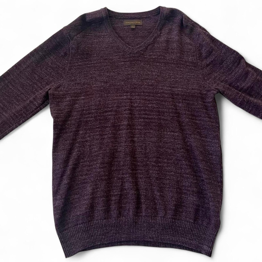 Men's Purple V-Neck Sweater